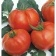 Seminte de tomate Rila F1 - 250 sem